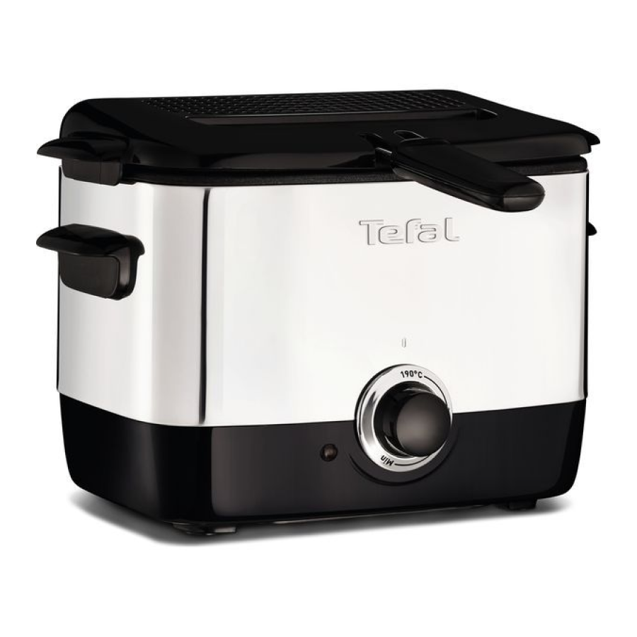 Tefal FF220040 Mini Fryer, (2 Portions), 0.6 Kg Capacity, 1000 W, Stainless Steel