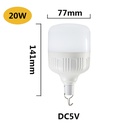 Rechargeable Bulb 20W White