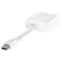 Apple Mini Display Port to DVI Adapter MB570