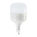 Rechargeable Bulb 20W White