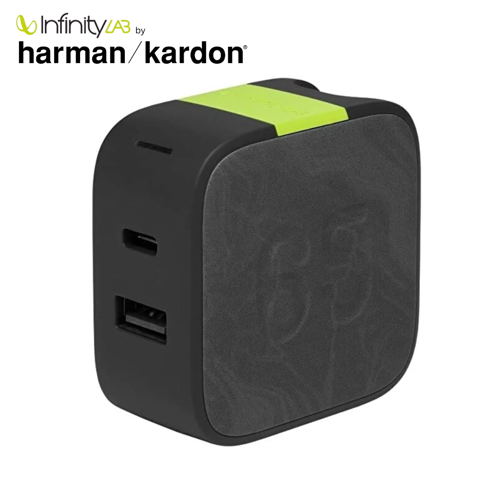 Infinity Lab InstantCharger 65W 2 USB Şarj Aleti - Siyah