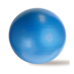 [DW0007] Dawson Sport Anti Burst Gym Ball 12-004 65cm